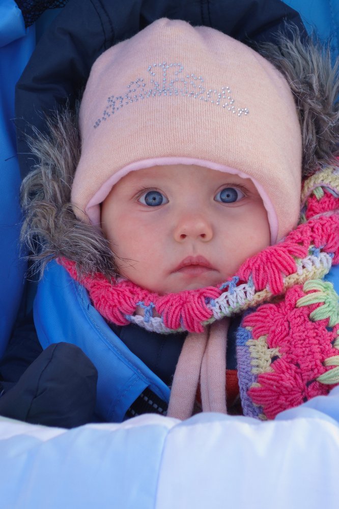 Photograph by Максим Терентьев