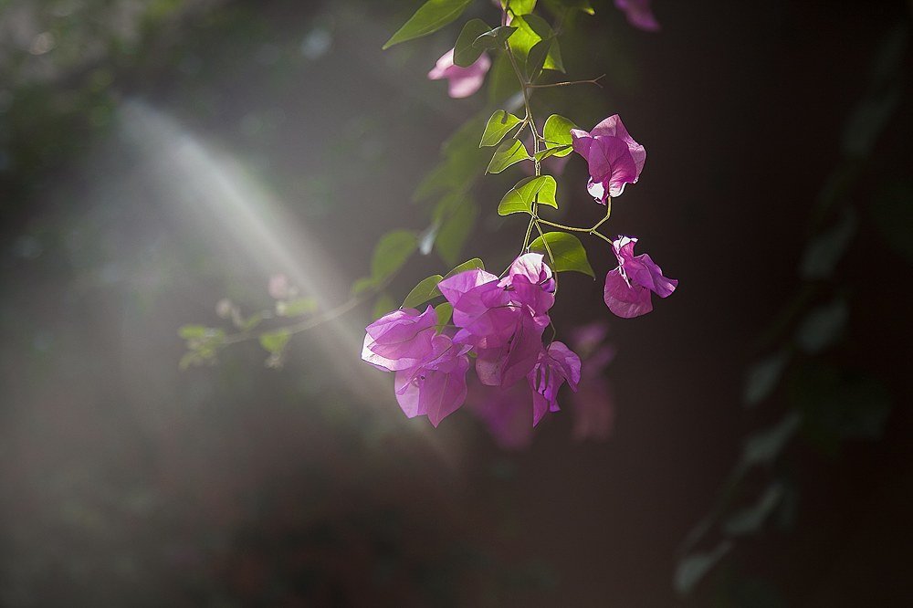 Photograph by Галина Шеватурина