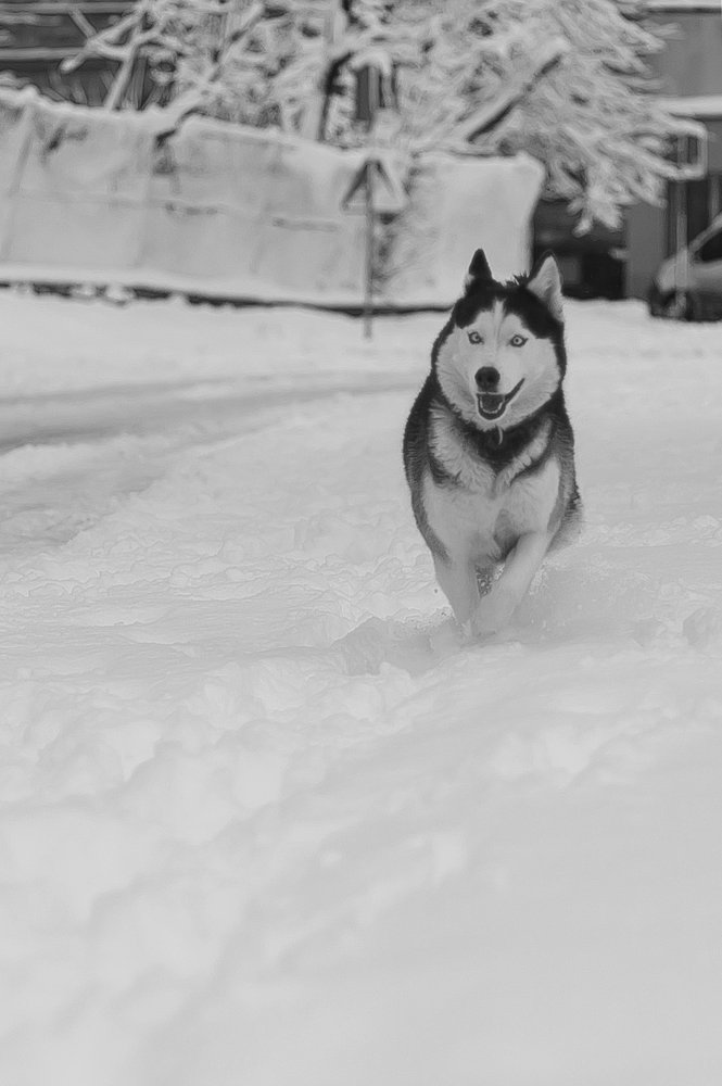 Photograph by Руслан Булгаков