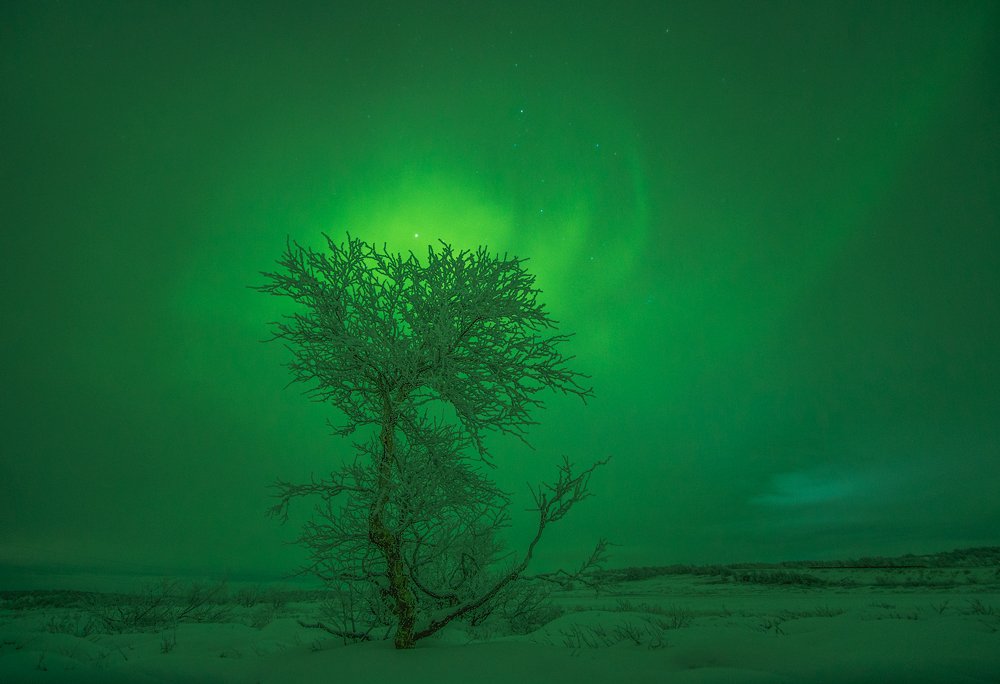 Photograph by Парамонов Григорий