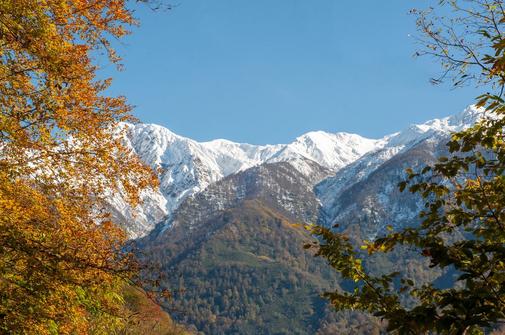 Photograph by Виктория Зимановская