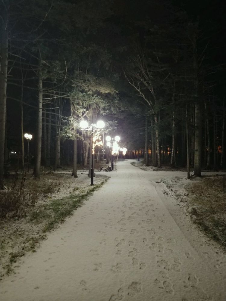 Photograph by Антон