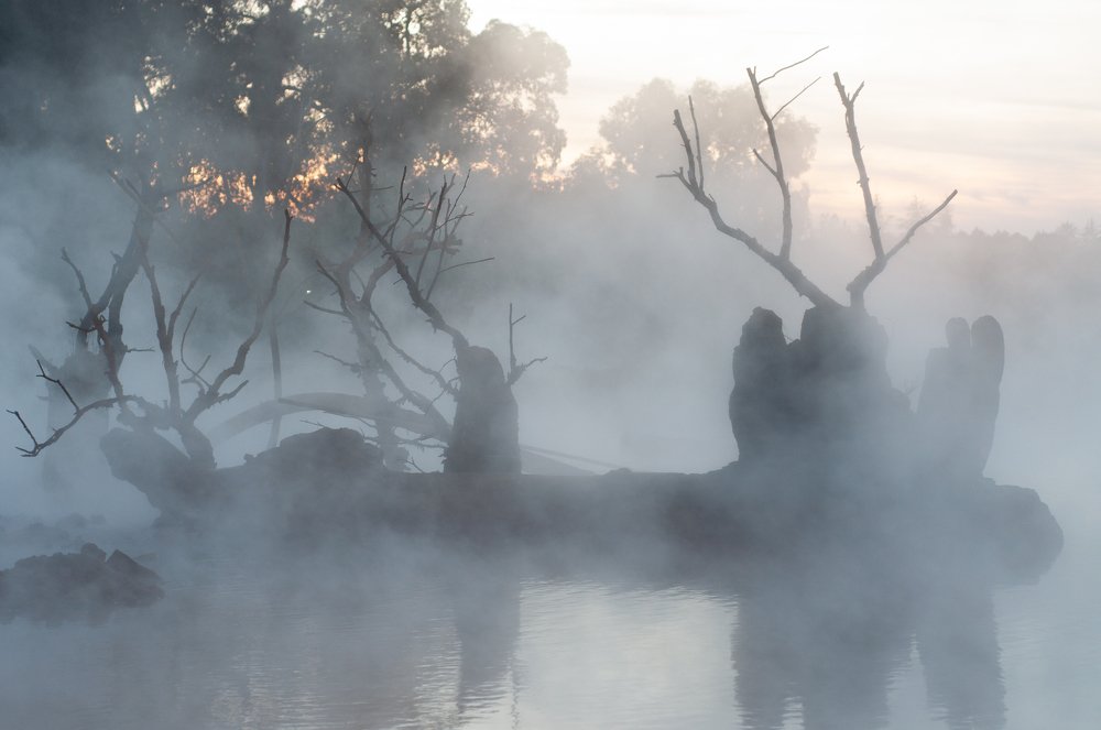 Photograph by Виктория Зимановская