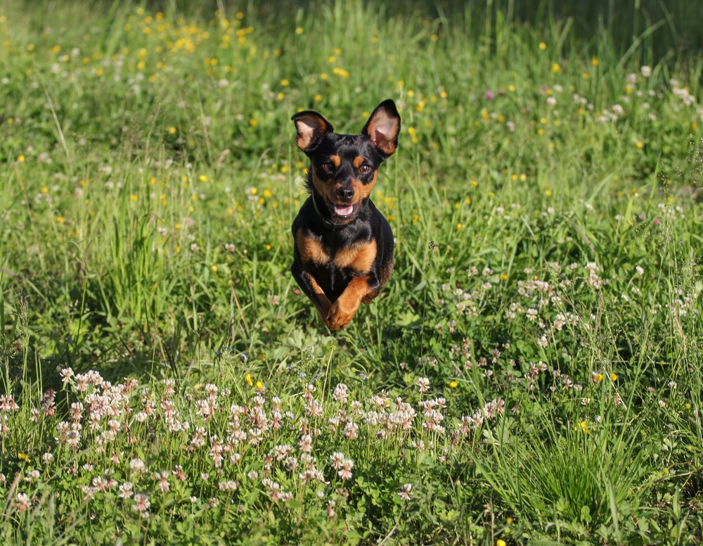 Photograph by Мария Никитина