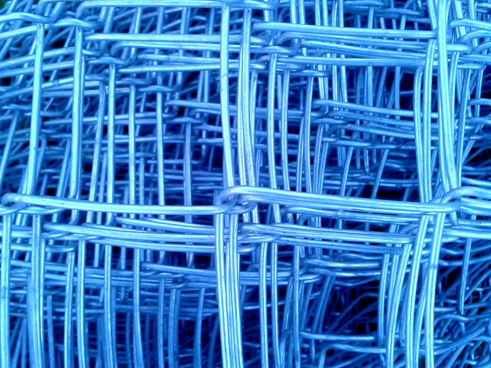 Photograph by Irina Magdalena Bivolaru