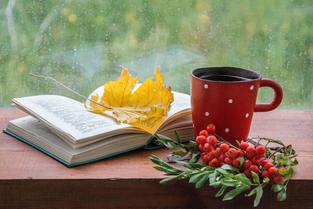 У природы нет плохой погоды