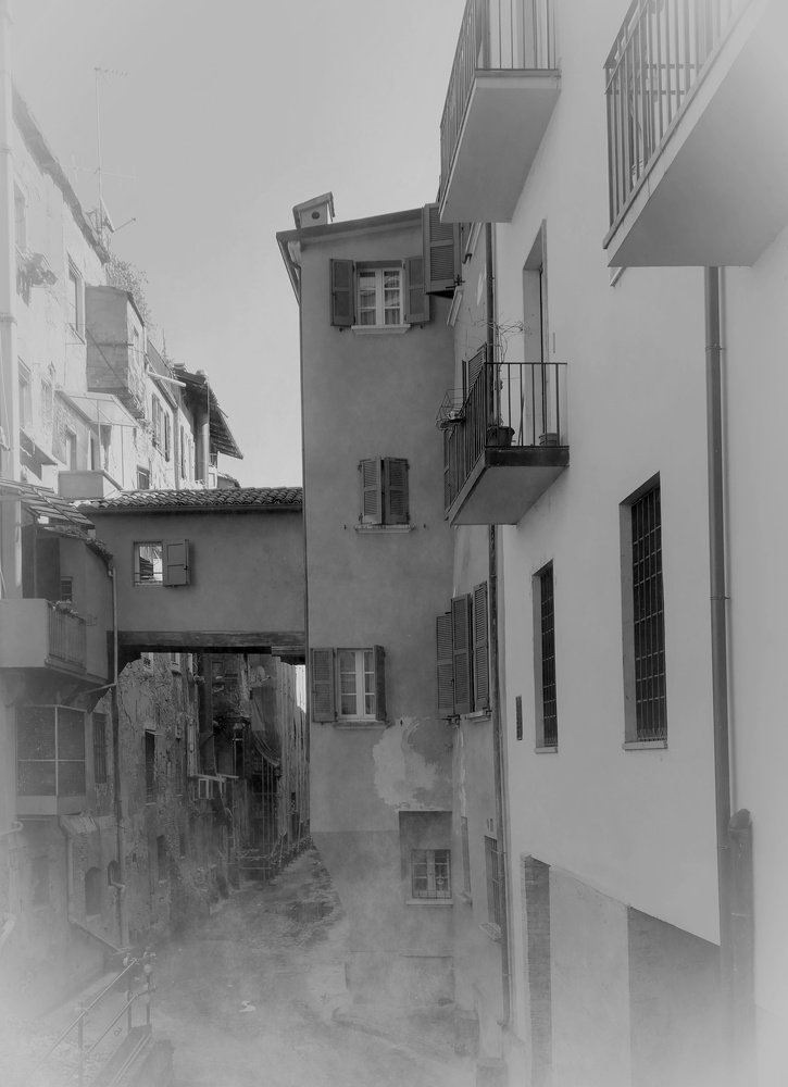 Photograph by Irina Magdalena Bivolaru