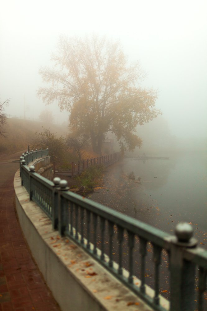 Photograph by Артём Будник