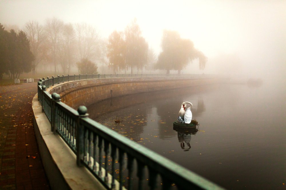 Photograph by Артём Будник