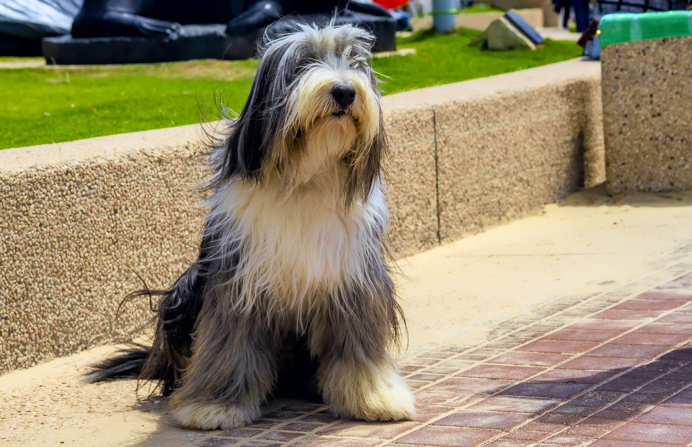 Photograph by Dmitry  Tverie