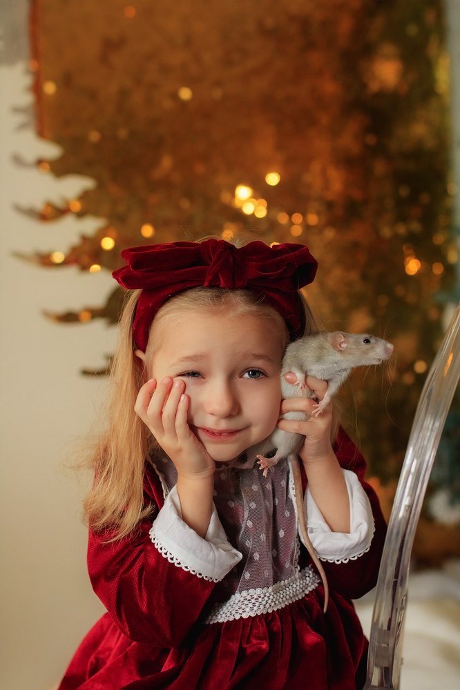 Photograph by Ольга Король