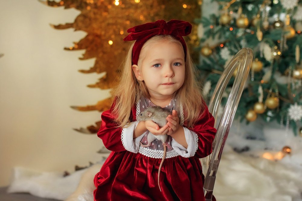 Photograph by Ольга Король