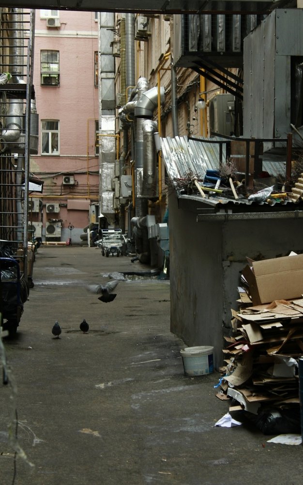 Photograph by Ирина Савина