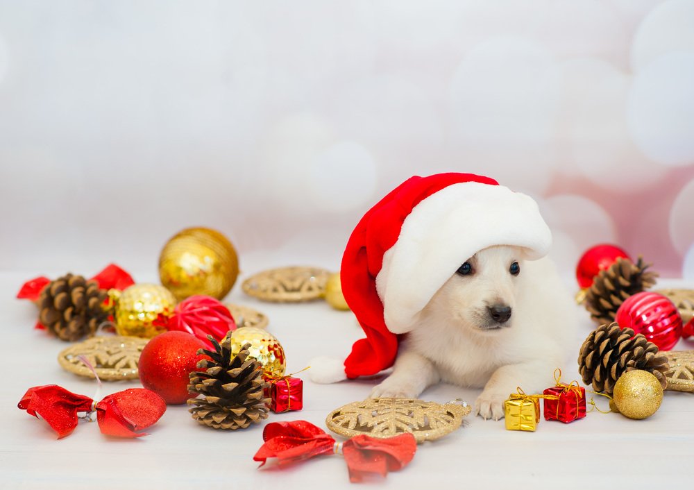 Photograph by Яна Украинец