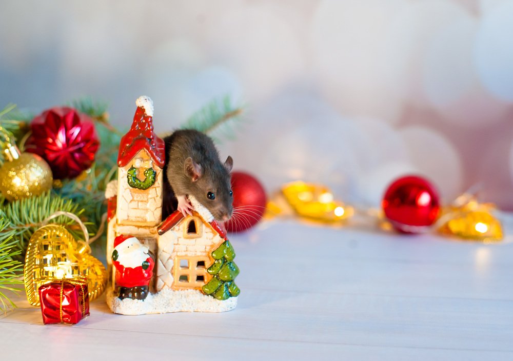 Photograph by Яна Украинец