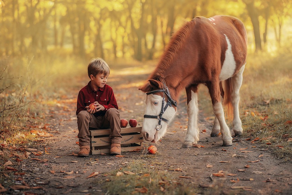 Photograph by Юлия Пархоц