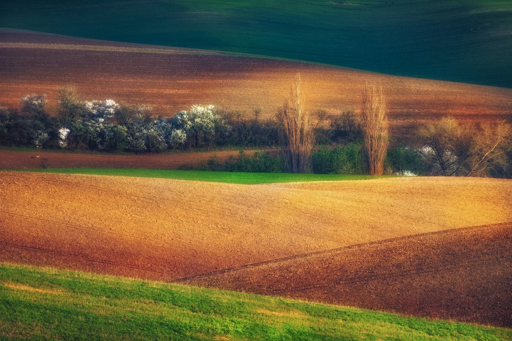 Ostatnie światło dnia.