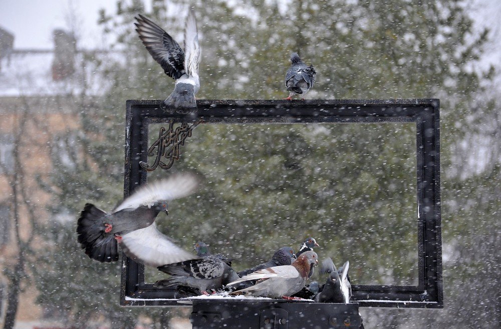 Photograph by Юрий Яковлев