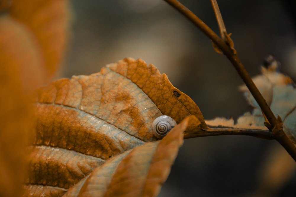 Photograph by Hosein Mayeli