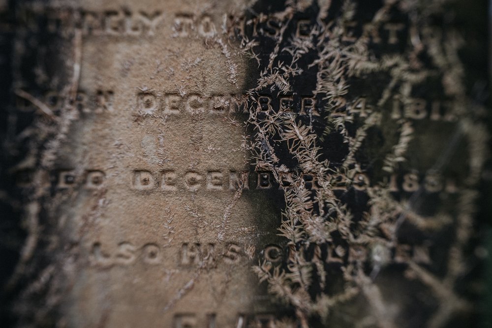 Photograph by Стоянова-Тимбукту Мария