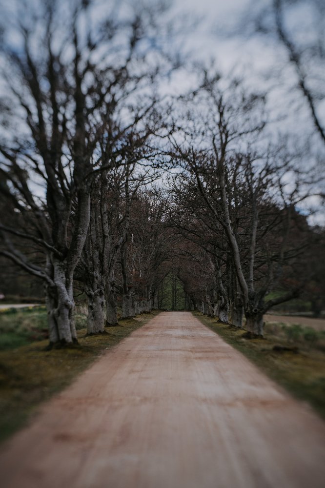 Photograph by Стоянова-Тимбукту Мария