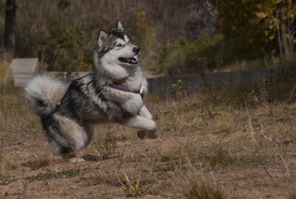 Photograph by Nastya Guseva