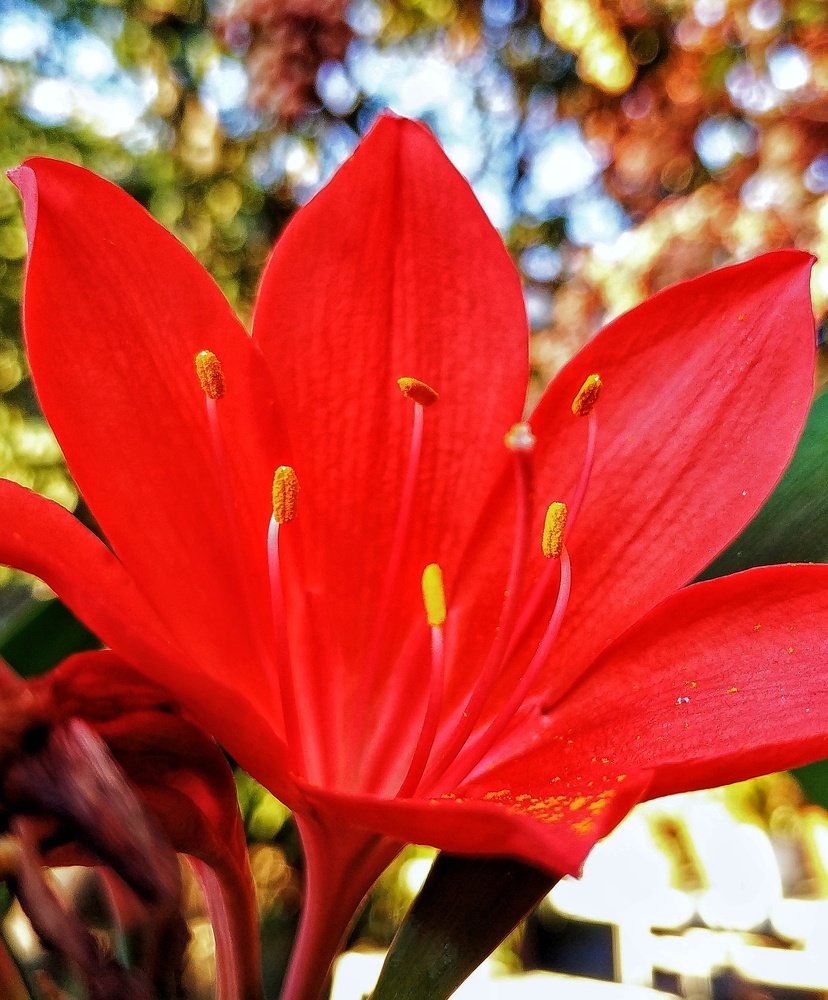 Photograph by Айдын Мехтиев