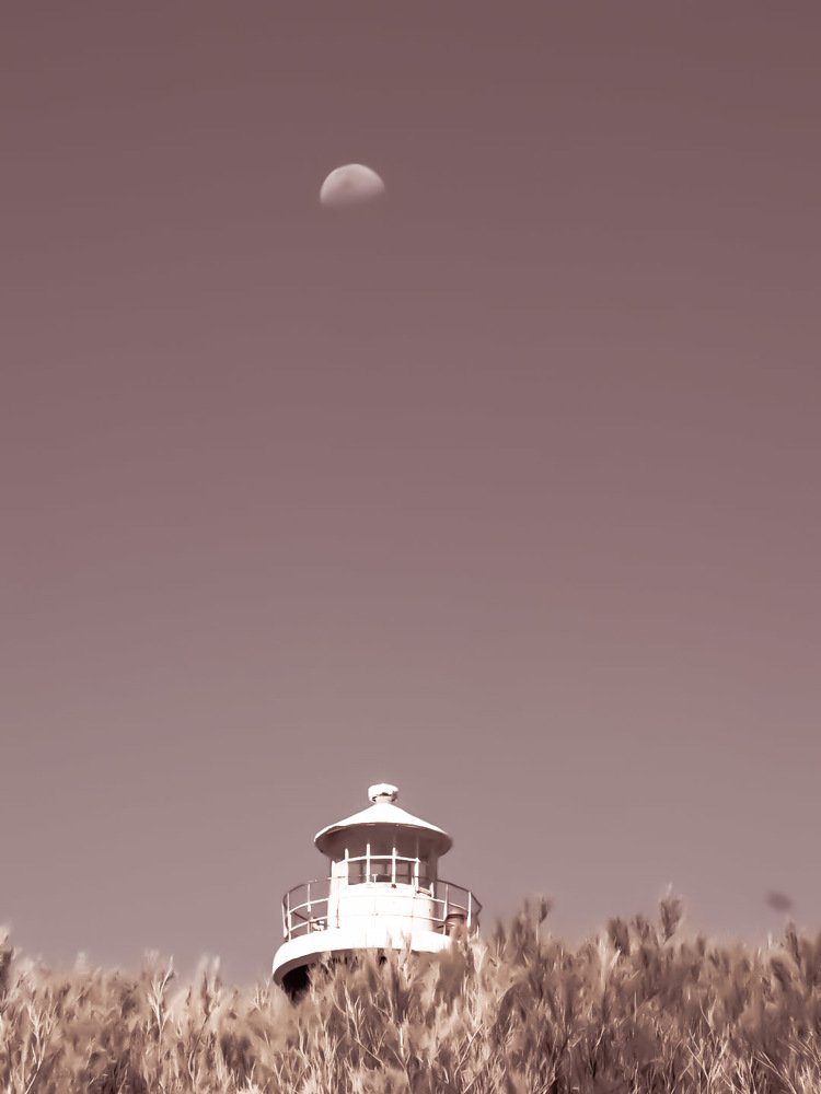 Photograph by Karina Elena Bergagna