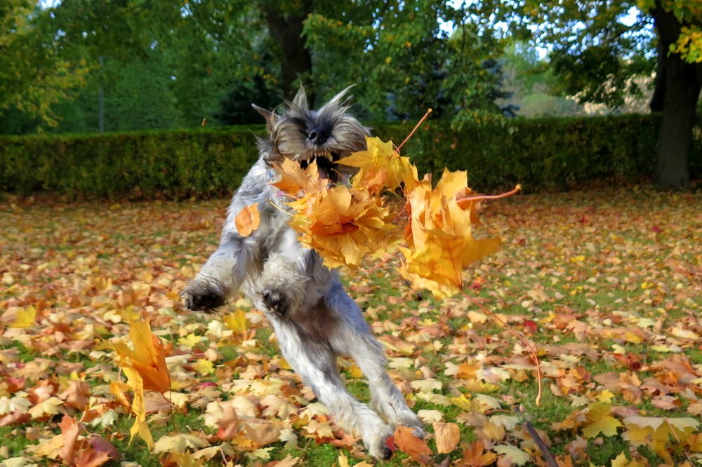 Фотография автора Ольга Завадилика