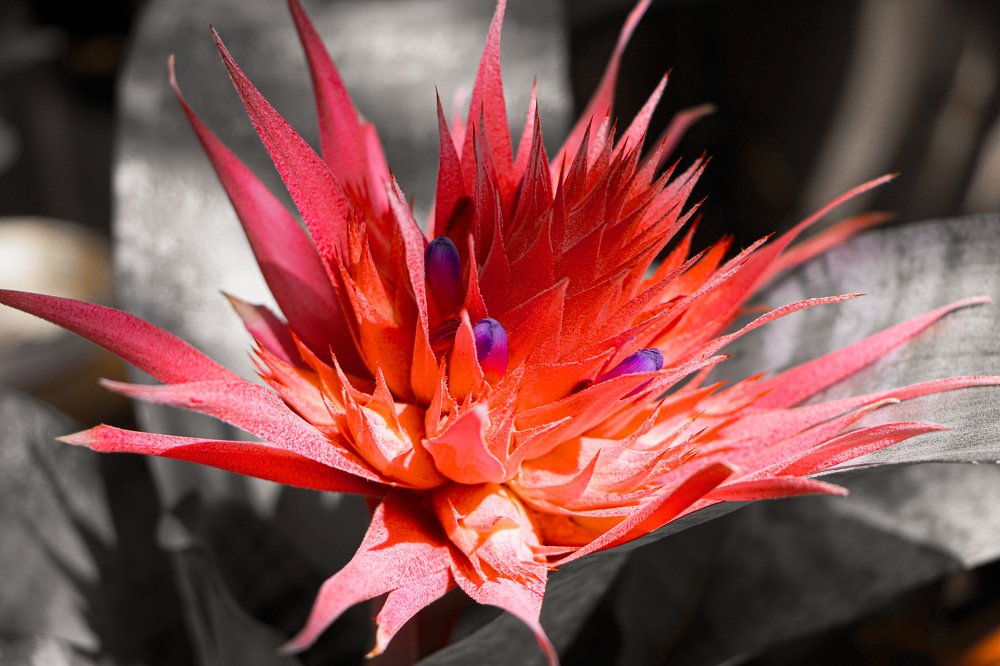 Photograph by Людмила Казак