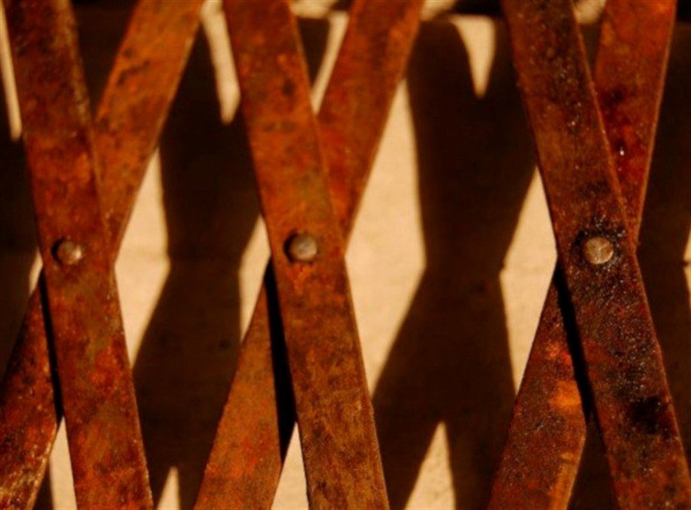 Photograph by Irina Magdalena Bivolaru