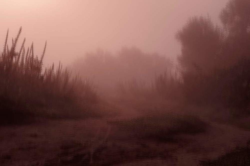 Photograph by Алексей Стрижаков