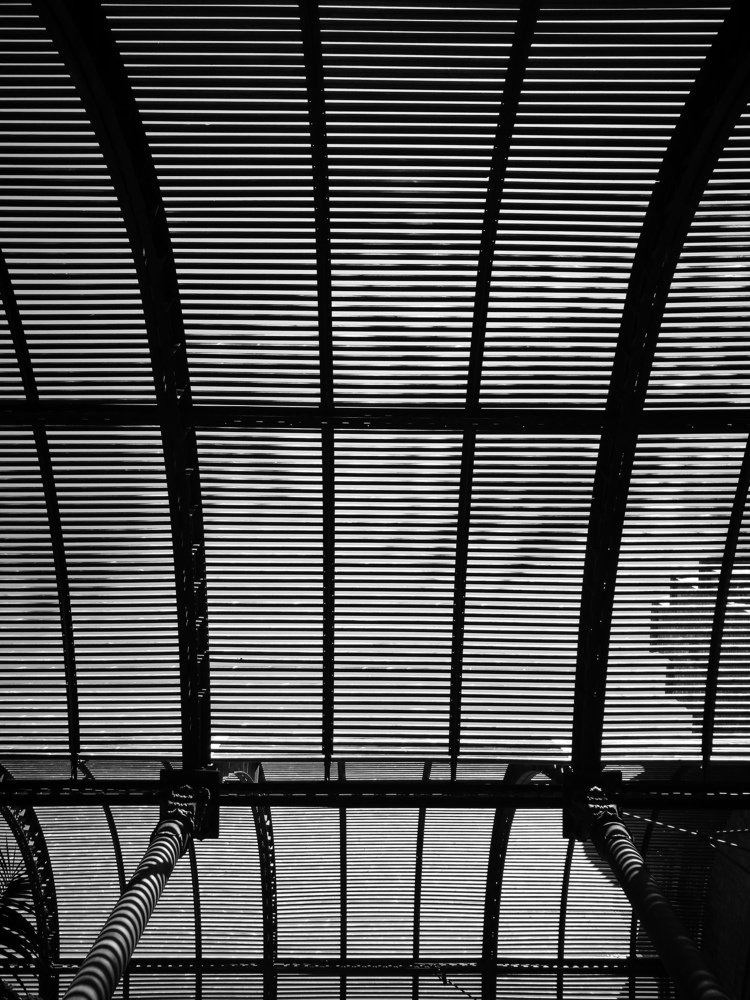 Black and Wife life / Чёрно-белая жизнь