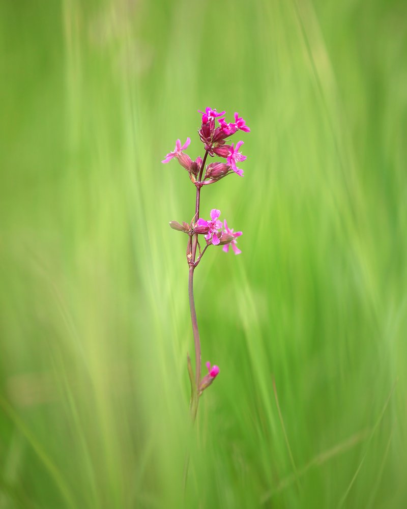Photograph by Артём Самохвалов