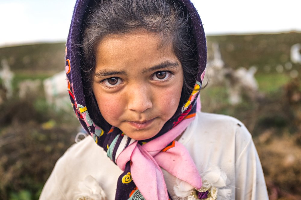 Photograph by T. Ahmadi kalkhorani