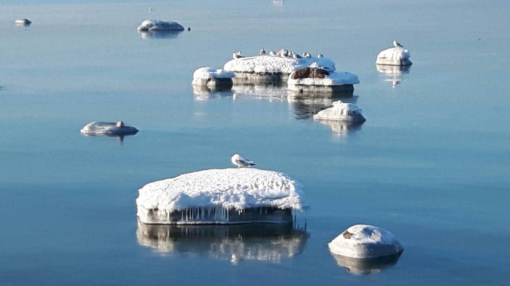 Photograph by Алексей Стрижаков