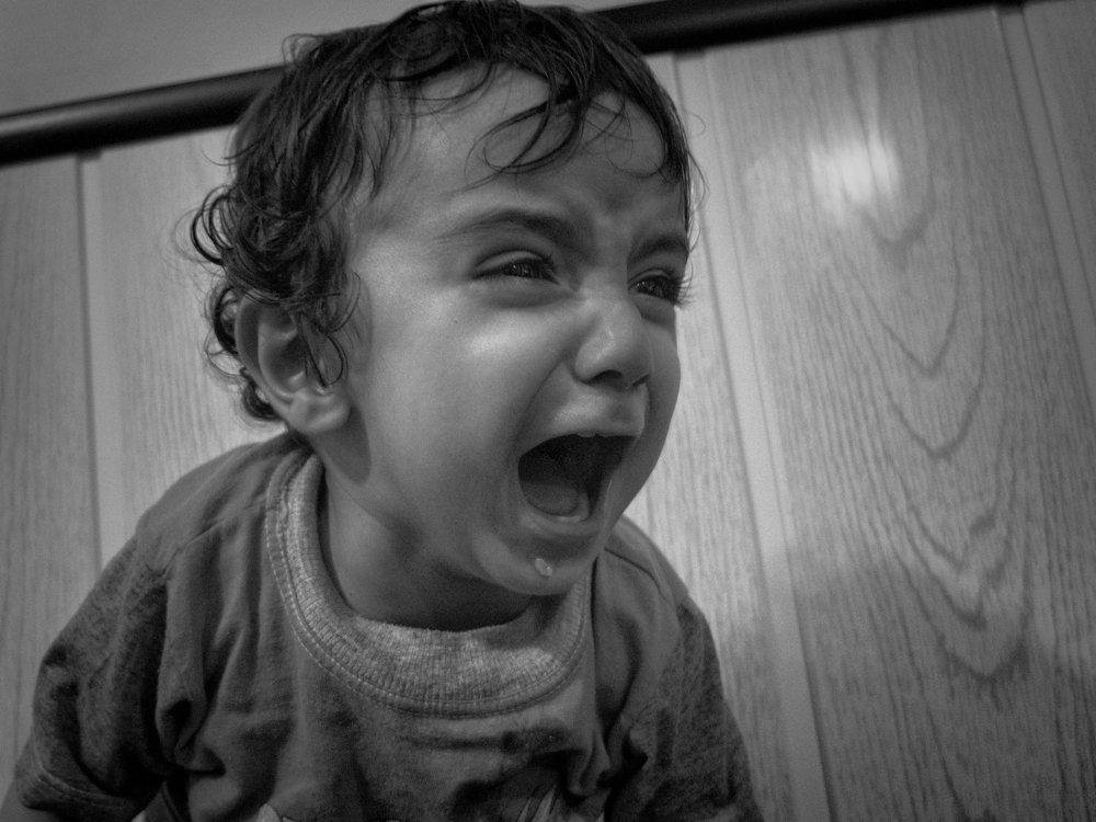 Photograph by T. Ahmadi kalkhorani