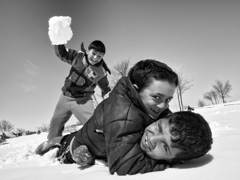 Photograph by T. Ahmadi kalkhorani