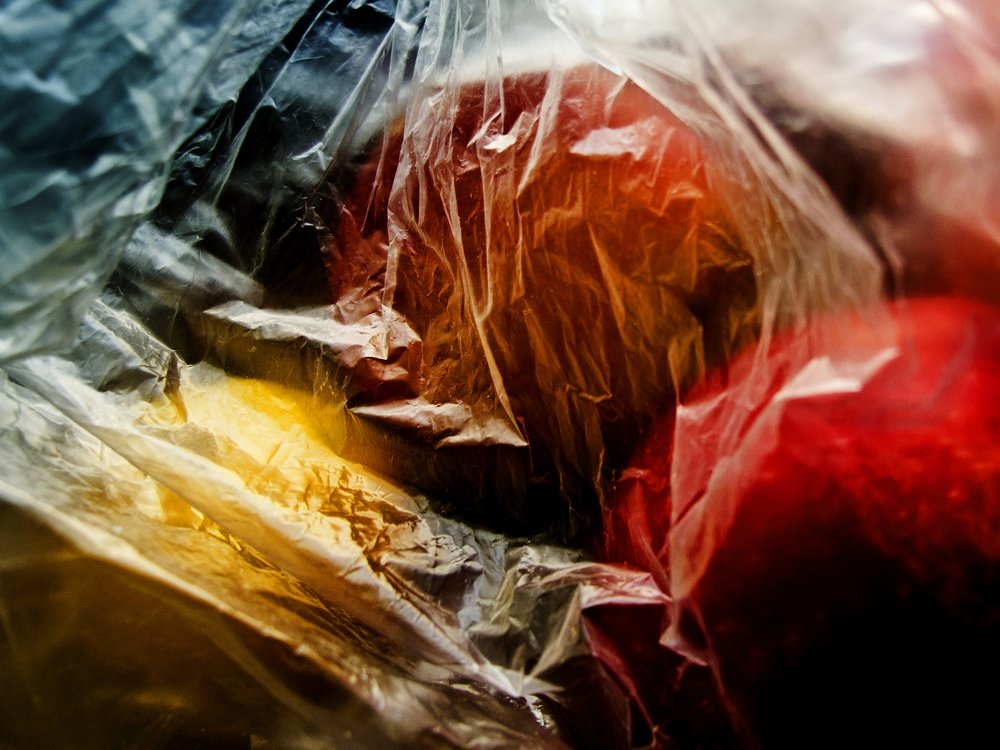 Photograph by T. Ahmadi kalkhorani