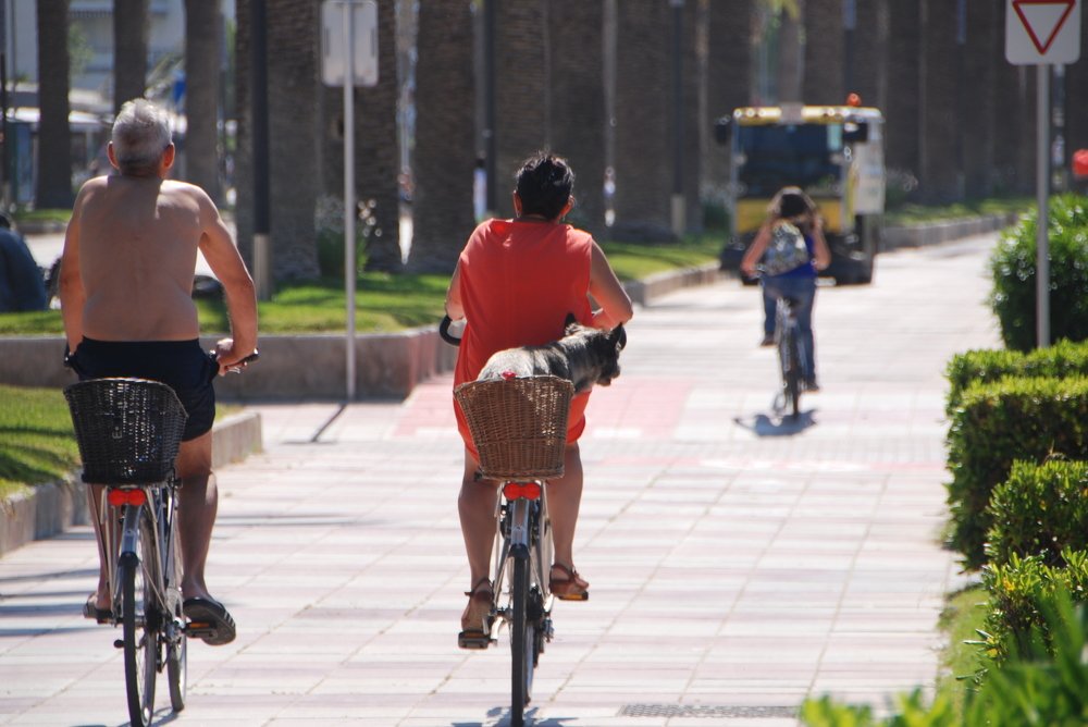 Photograph by Roman Kryuchkov