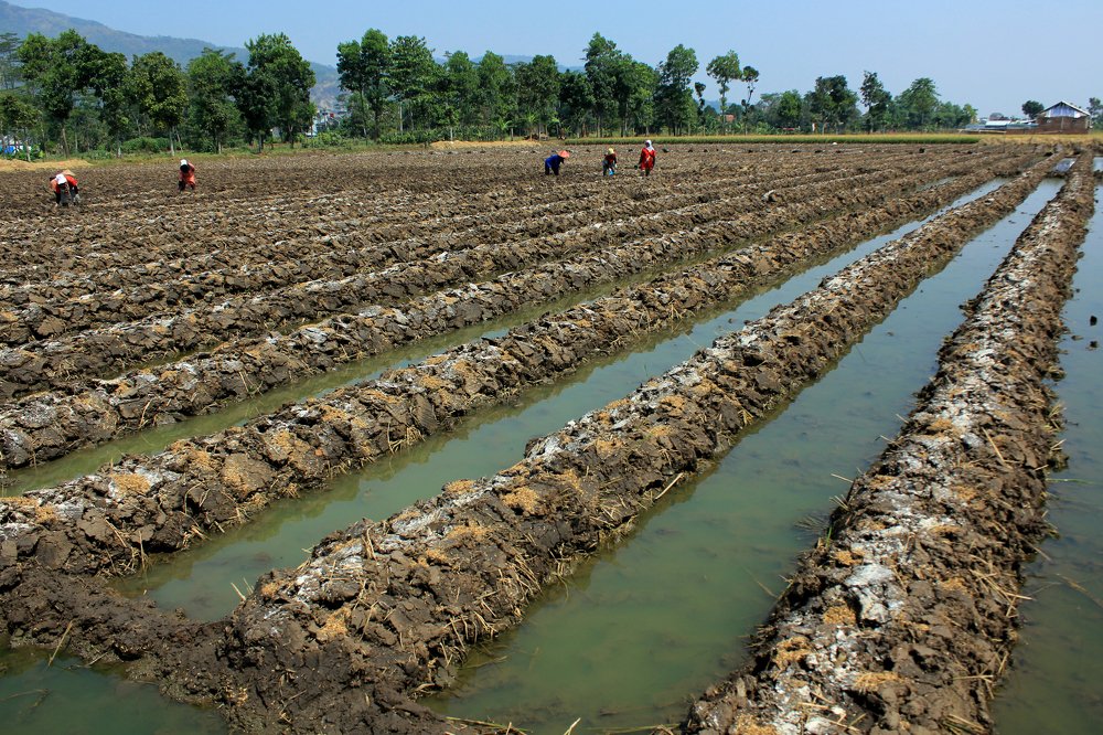 Photograph by Baraya Rocky