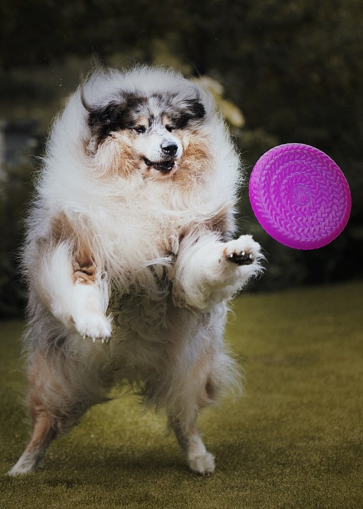 Photograph by  Ксения Максименко