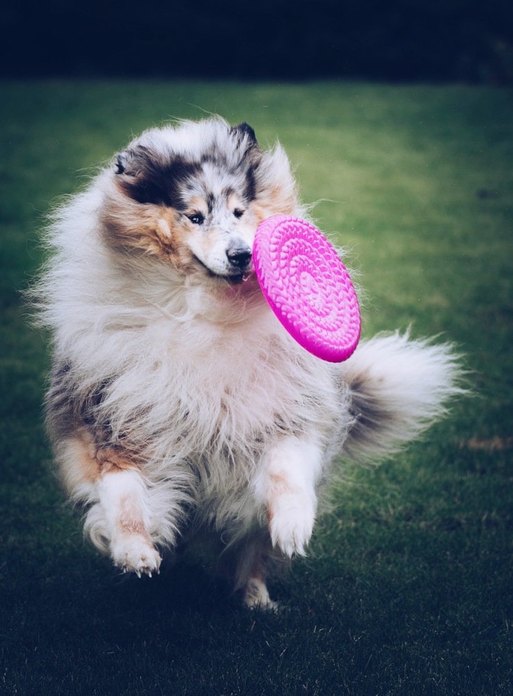 Photograph by  Ксения Максименко