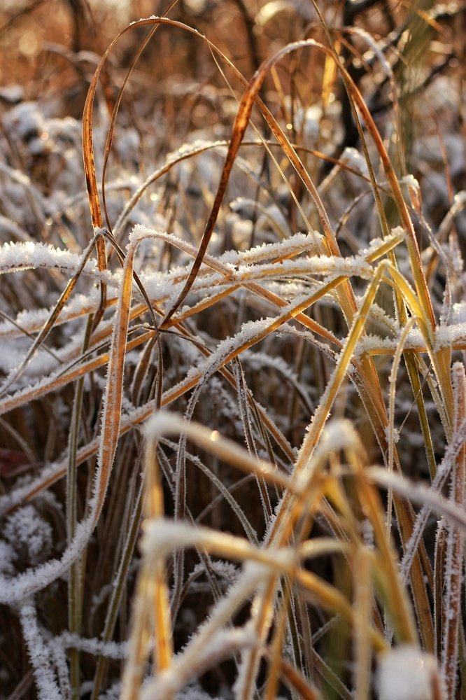 Photograph by Inna Kristiansen