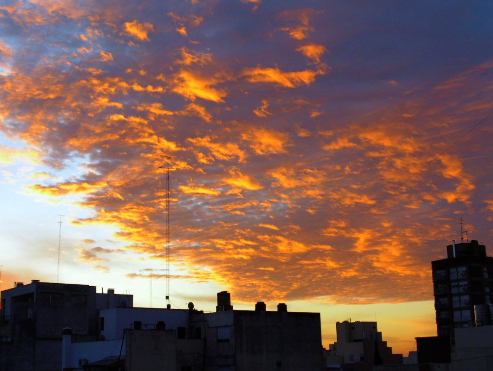 Photo #3847885