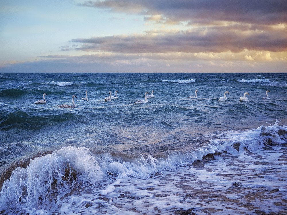 Противостояние