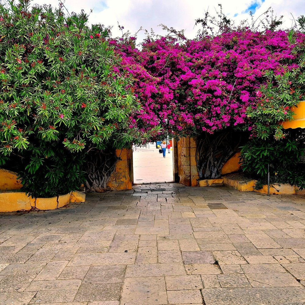 Photograph by Вадим Шахтарин