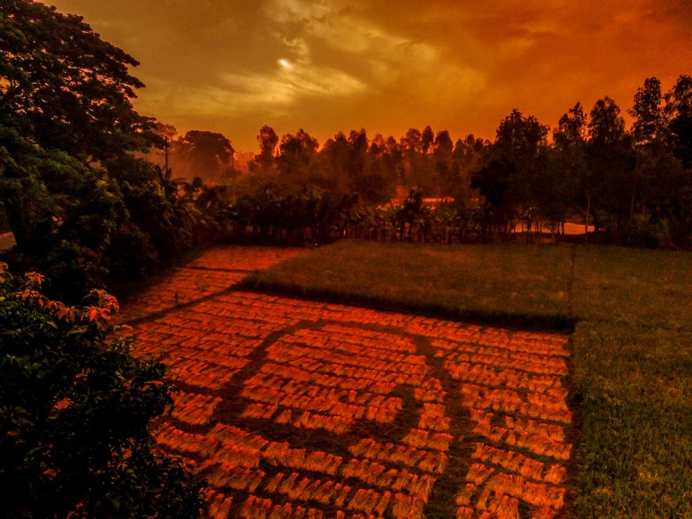 Photograph by Md Abu Sayeed Mondal