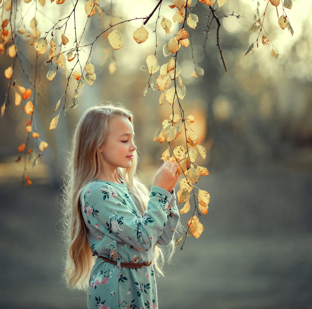 Красивая осень