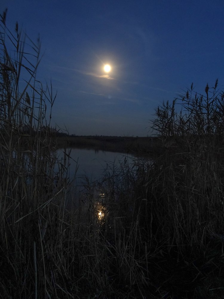 Photograph by Роман 